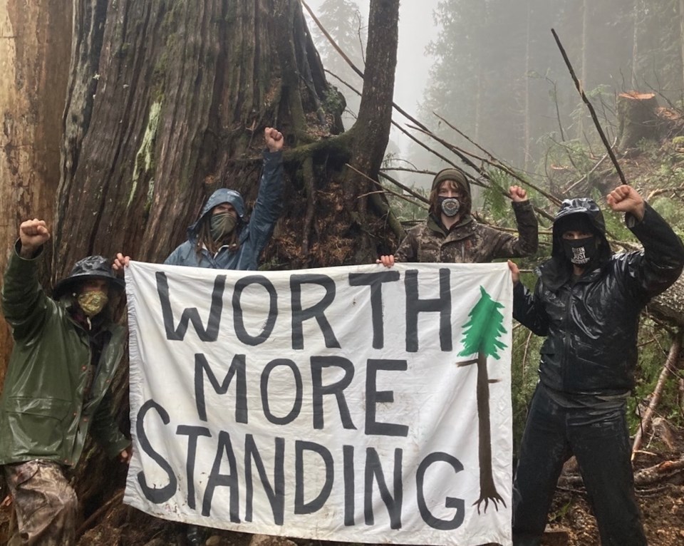 logging protests