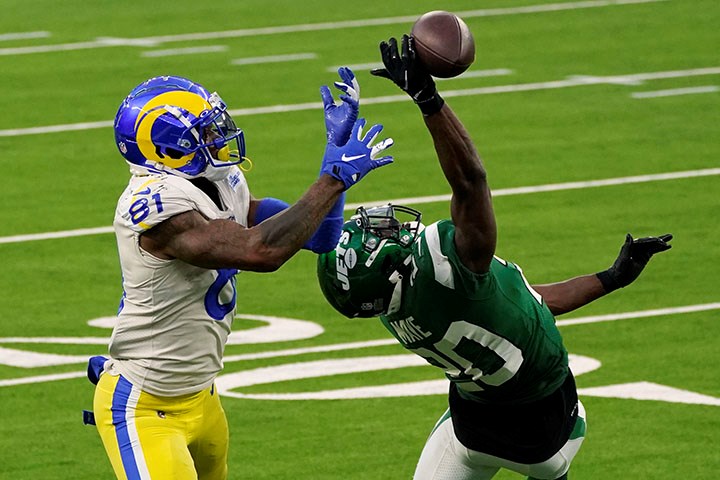 rams