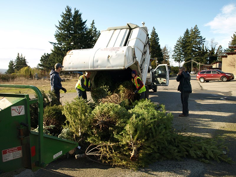 Special Olympics BC-Powell River Tree Mulch