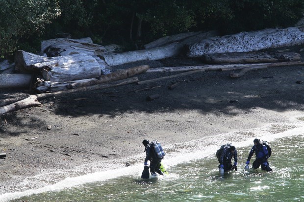 Scuba divers emerge from the water in West Vancouver's Whytecliff Park in 2015.