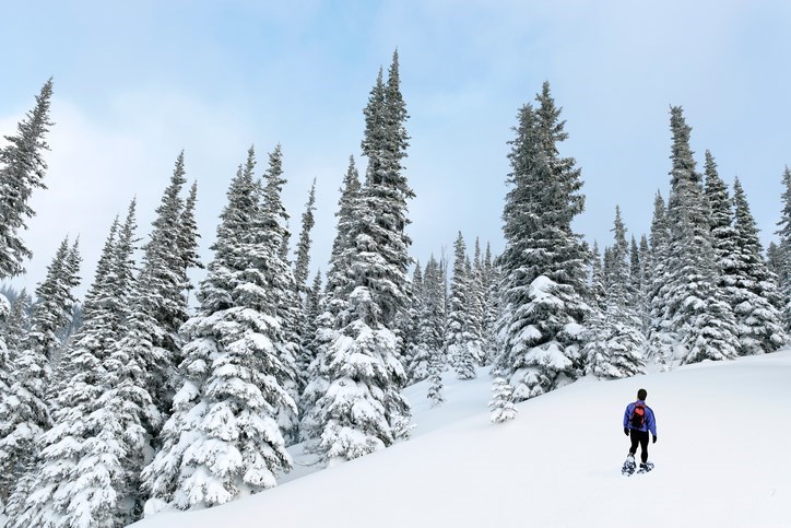 avalanche safety