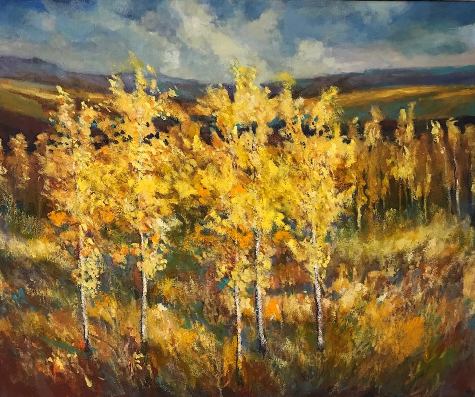 aspens-in-meadow-Volker-Mike-Kroecher