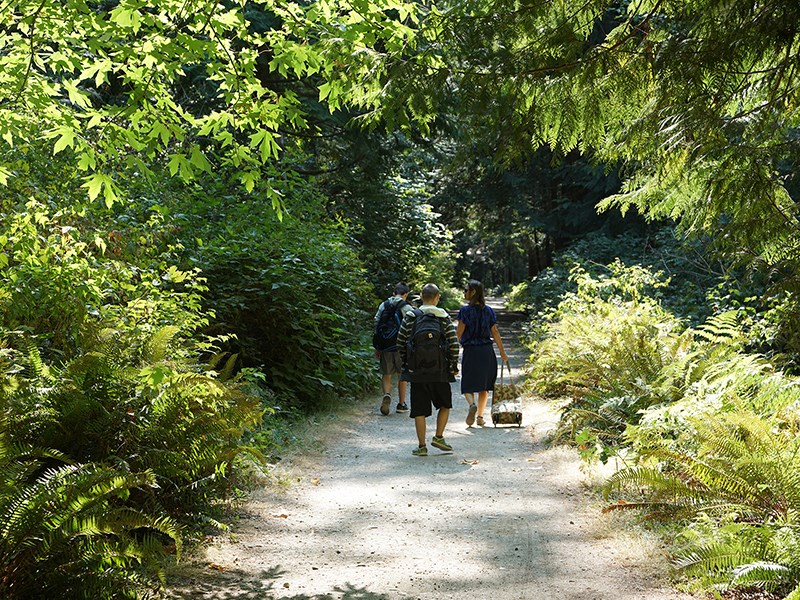 Powell River parks and trails
