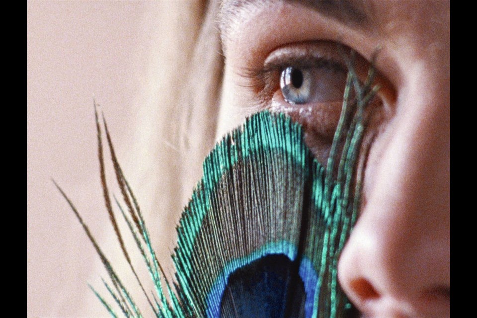 The Metamorphosis of Birds, which Portuguese director Catarina Vasconcelos shot on 16mm film, is one of the many intriguing features on tap at this years Victoria Film Festival. Victoria Film Festival