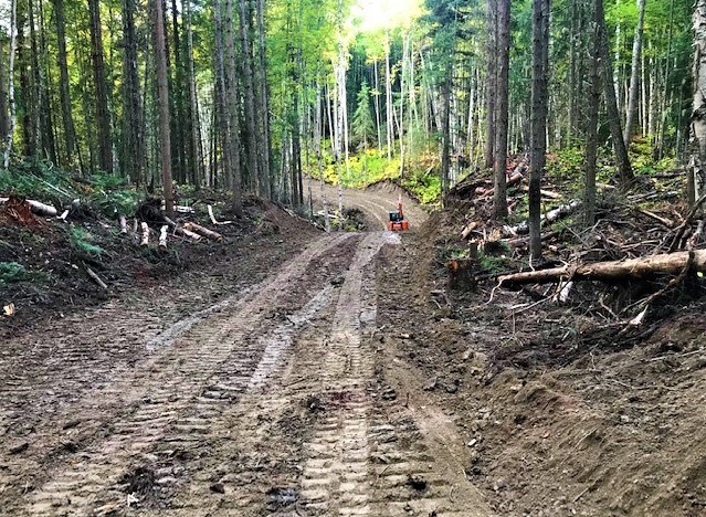 The Caledonia Nordic Ski Club began the first phase of construction last summer for the new Ridgerunner touring trail.