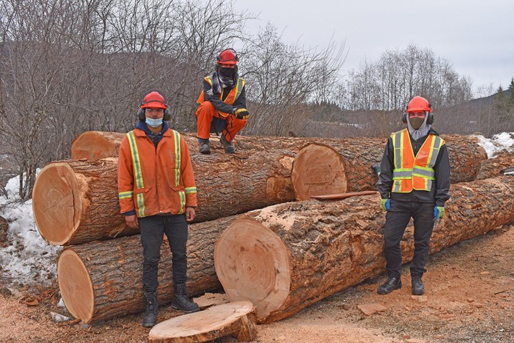 Sawmilling students