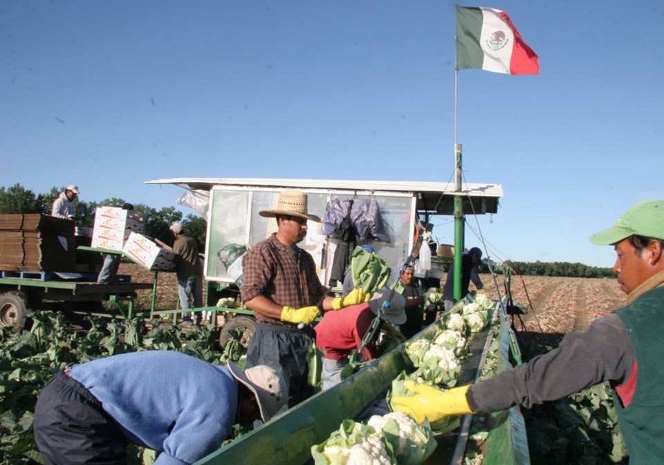 COVID-19 travel restrictions keep most foreign farm workers out of Canada.| Western Investor