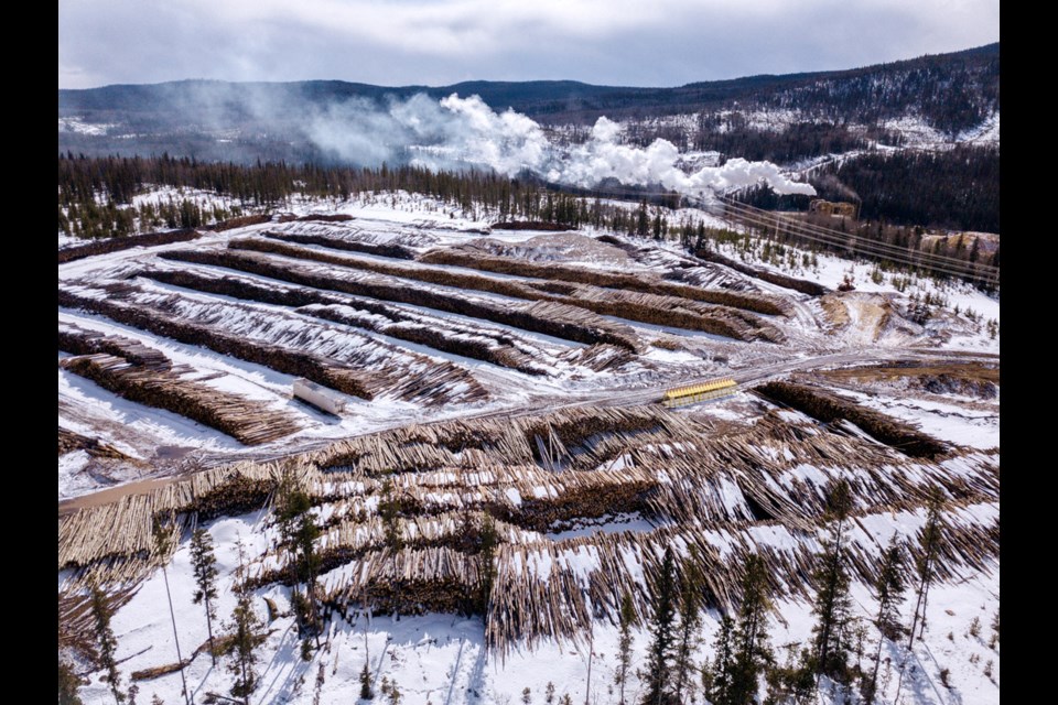 Logs waiting to be processed at the Pinnacle pellet plant in Burns Lake.