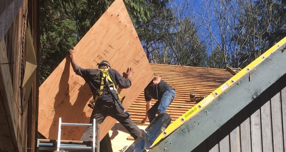 Workers wrestle a sheet of plywood onto a roof replacement April 12. |Western Investor