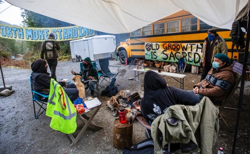 Activists have been blockading a road to prevent logging for several months.| Times Colonist.