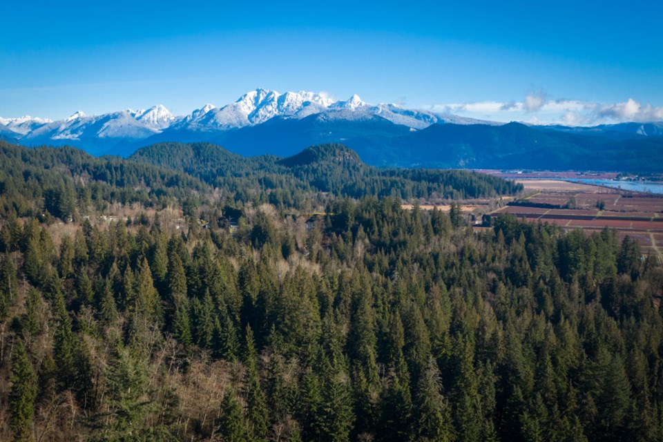 The Burke Mountain neighbourhood includes 180 acres of active parks, 23 acres of future planned parks, and an active mountain biking and hiking community.