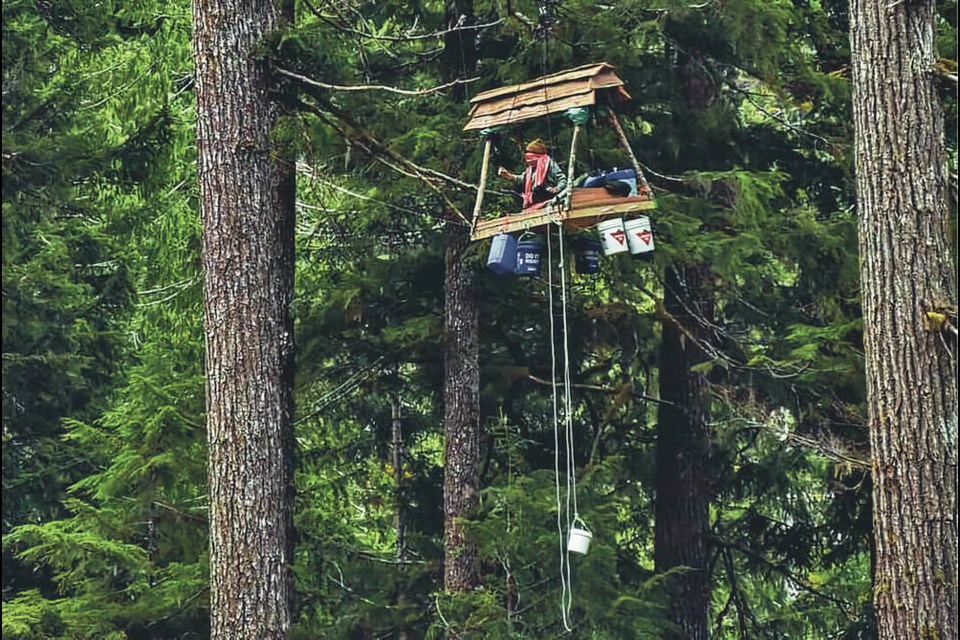 An old growth activist set up camp on a platform suspended from trees to prevent logging in the Caycuse Valley. The Rainforest Flying Squad says there are several "tree sitters" in the area, but won't say exactly how many. via Will O'Connell