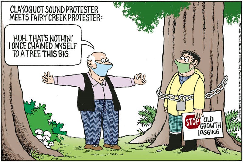 Adrian Raeside cartoon: old-growth logging protest, June 18, 2021