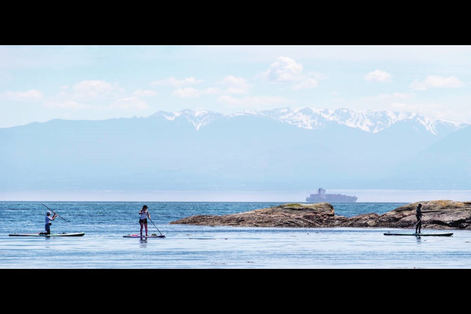 Paddle boarders keep cool on the water in Gonzales Bay. DARREN STONE, TIMES COLONIST