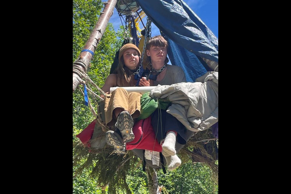 Officers removed two people from a tripod structure who had chains around their necks attached to the structure above them. Police say theyre concerned demonstrators are putting themselves in danger, while protesters say theyll do what it takes to protect old-growth forests. Via RCMP