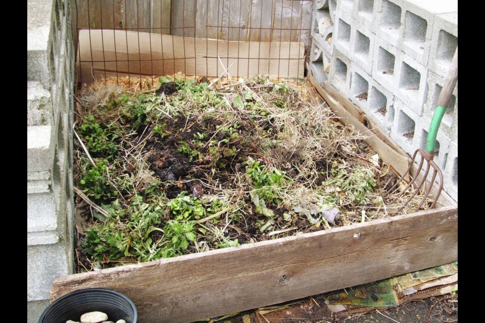 To help keep compost heaps rat-free, add only garden waste materials for composting. Food waste attracts rodents.  HELEN CHESNUT