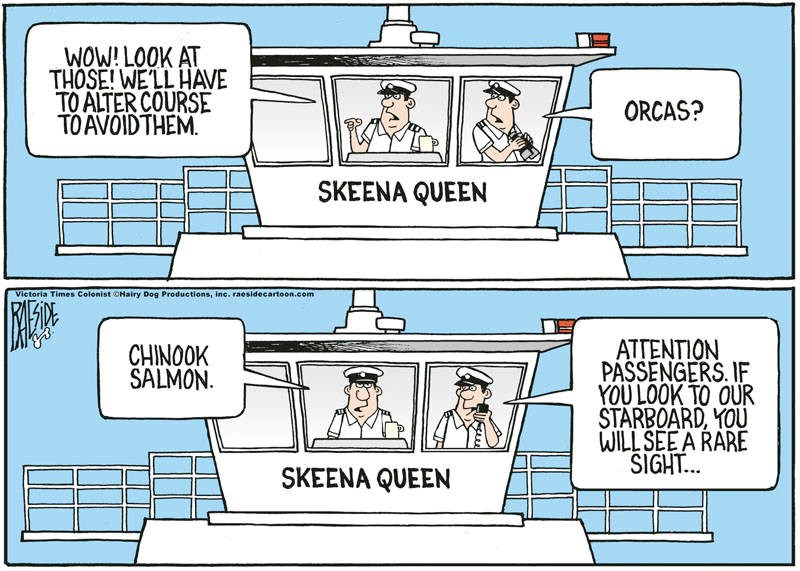 Adrian Raeside cartoon: Ferry sailings. July 28, 2021