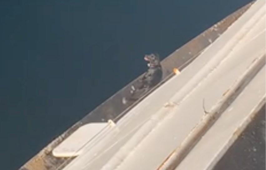 photo of dog on ferry ledge