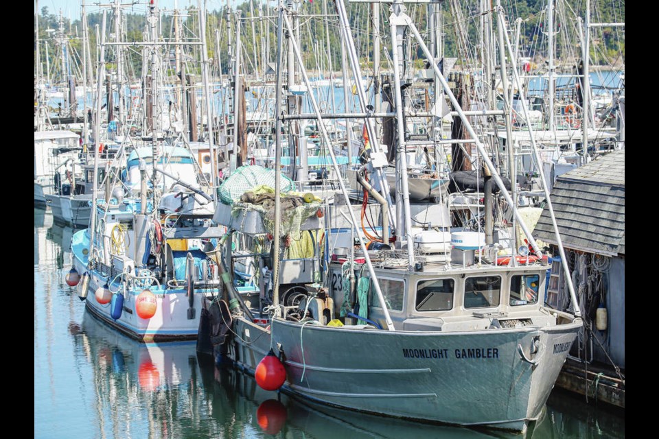 On the hook: Commercial salmon fishers reeling from sweeping closures -  Victoria Times Colonist