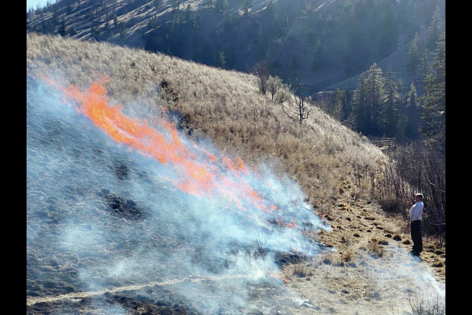 Firekeeper Ron Ignace monitors a cultural fire on his 10-acre Skeetchestn Indian Band property in March 2020. Ignace says such low-intensity fires need to be scaled up across the province to prevent the kind of devastating wildfires that burned the town of Lytton. Marianne Ignace