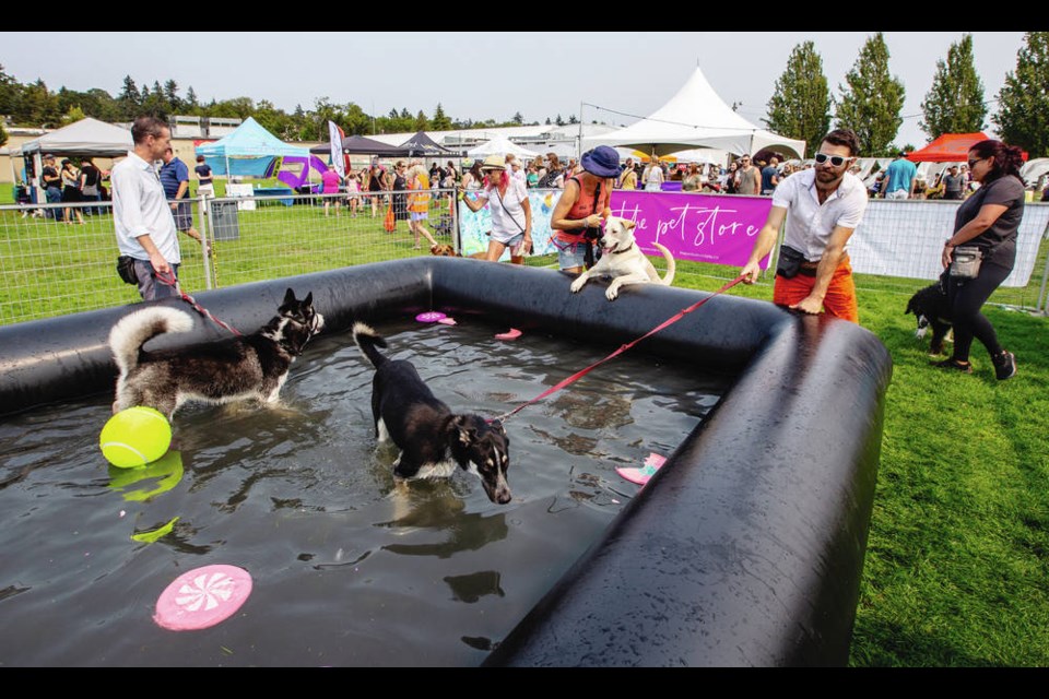 Dogs play at the Pool Party during Pet-A-Palooza at Bullen Park in Esquimalt on Saturday. The weekend event featured 90 pet-related exhibitors. DARREN STONE, TIMES COLONIST