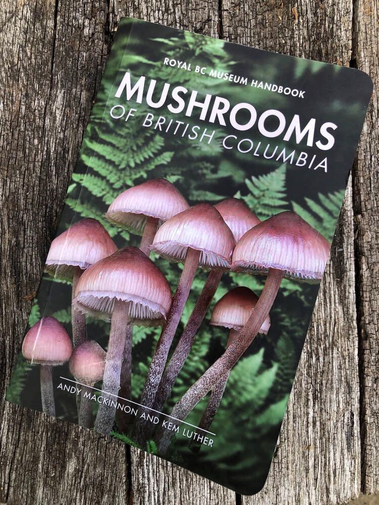 TC_384291_web_MUSHROOM-COVER.jpg