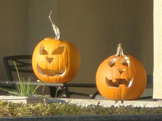 Pumpkin patch: Reader Scott Larsen sent in this shot from a condo at 3 Rialto in the Quayside neighbourhood.