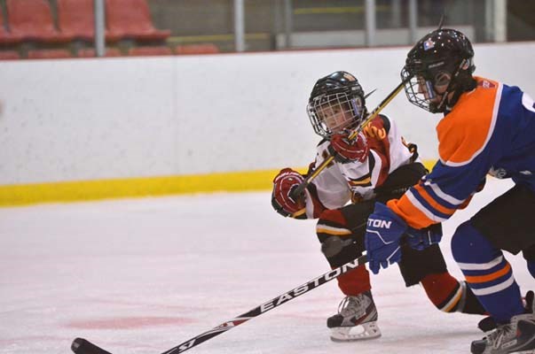 Gold guys: The New Westminster Royals C1 peewee hockey team won the Winter Classic tournament title in Kamloops last weekend.