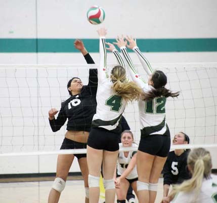 Net play: The Douglas College Royals women's volleyball team dropped a two-game series against PacWest leader University of the Fraser Valley last weekend.