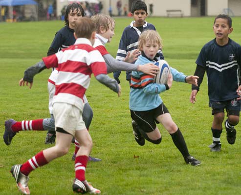 Getting started: Burnaby Lake youth, in blue, had a ramble against the Vancouver Rowing Club at the rugby club's mini jamboree at Burnaby Lake Sports Complex-East last Saturday.