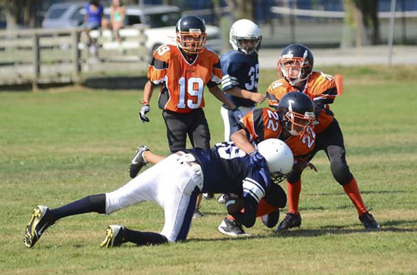 Tackle time: Calvin Singh, No. 19, Adrian Cagampan, No. 22, and Nicolas Hauka help make a stop for the Royal City Hyacks in a 40-14 win over Coquitlam in New Westminster's junior bantam football home opener at Ryall Park Sunday.