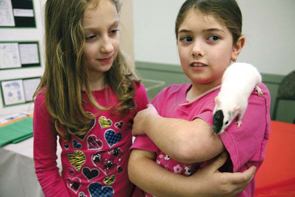 My pet rat: Hailey Henderson and Marisa Borescu with Abby the rat, who were among those attending the Ratstravaganza domestic rat show held Saturday in New Westminster.