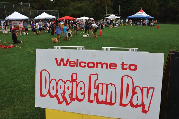 Dogs aplenty: Dogs and their owners converged on New Westminster on Sunday for Doggy Fun Day. The 13th annual event, a fundraiser for Pacific Volunteer Education and Assistance Team for Animals Society, included contests and displays.