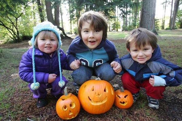 Two year-old Zoey Reeves, left, Sean Connell, nine, and Ethan Reeves, two, with their carved pumpkins from the Derrick Thornhill pumpkin patch held at Queen's Park on Saturday.