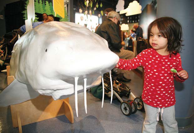 Meet George: Elsa Rahim gets to know George, the white sturgeon who is Fraser River Discovery Centre's mascot. She was one of about 3,000 people who attended the Royal City Kids Fair on Jan. 21 at Discovery Centre.