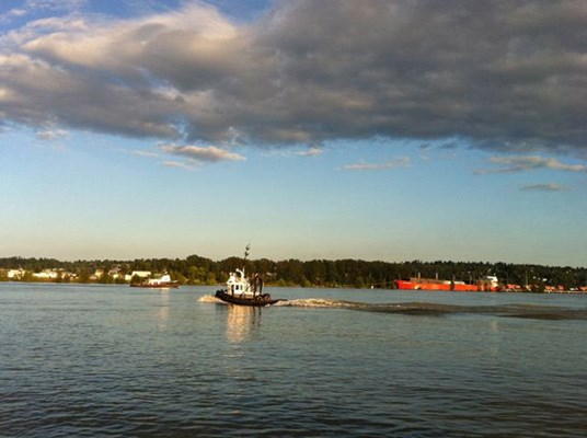 Nature in the city: A tugboat travels along the Fraser River through New Westminster.