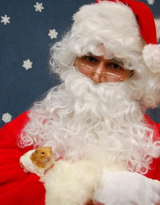 North pole pets: Hamu, an adoptee with the Small Animal Rescue Society, had his photo taken with Santa during a photo session organized by the local Tisol Pet Nutrition and Supply Store. The event helped raise money for the Burnaby-based society. See smallanimalrescue.org for more information.