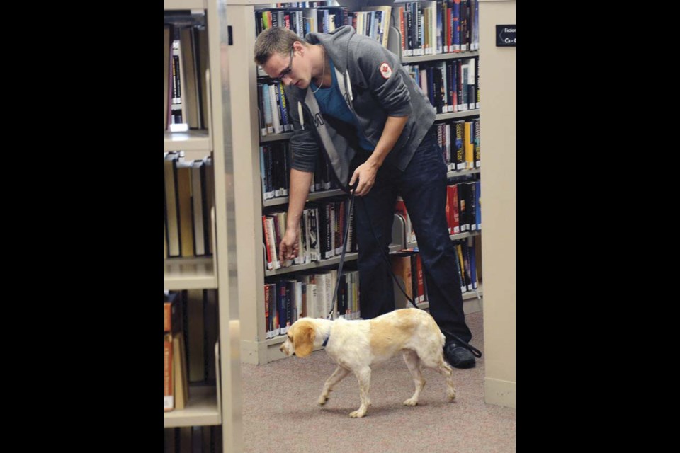 On the hunt: Moonshine searches for traces of bedbugs with the assistance of her handler. The New Westminster Public Library called in pest control Tuesday after a live bedbug and several dead bedbugs were discovered in its collection.