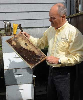 Bee business: Former New Westminster police officer John Gibeau founded the Honeybee Centre after a 16-year career in policing.