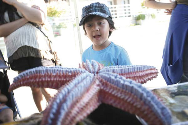 Ryan De La Torrehas fun checking out the Vancouver Aquarium's booth during this past weekend's FraserFest celebrations at Westminster Quay.