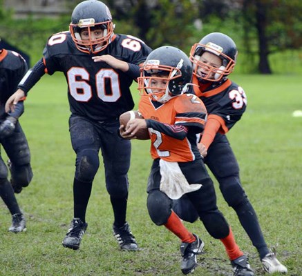 On the run: Royal City Hyacks Dante Baylis romps for a few yards against the undefeated Vancouver Mainland football league-leading atom division Cloverdale Panthers at Ryall Park on Sunday.