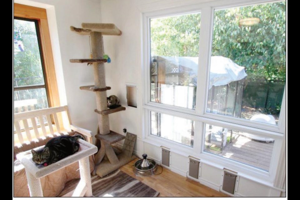 Furney's cats love the triple pane window with cat doors in the frame, which also came from ReStore.