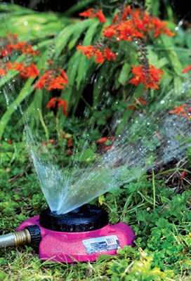 Good watering practices