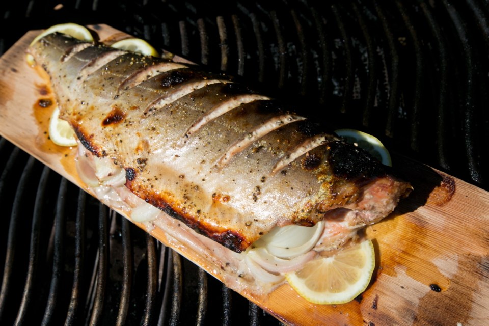 Tuesday: Maple Pepper Cedar Plank Pink Salmon. Pink salmon are small enough to cook on a cedar plank.