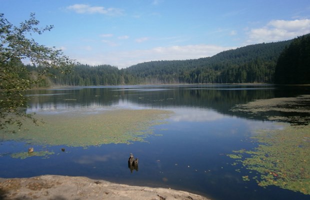 Killarney Lake in Crippen Regional Park.