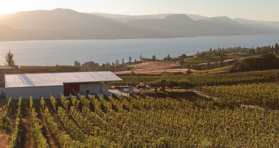 westender-wine-joie farm