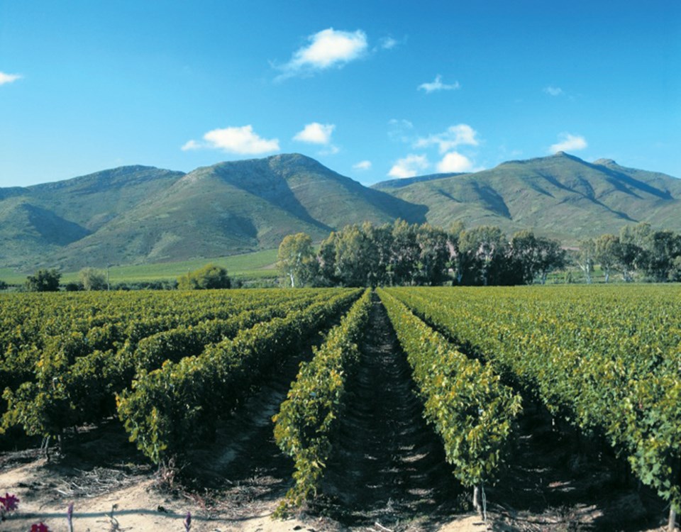 Robertson Valley