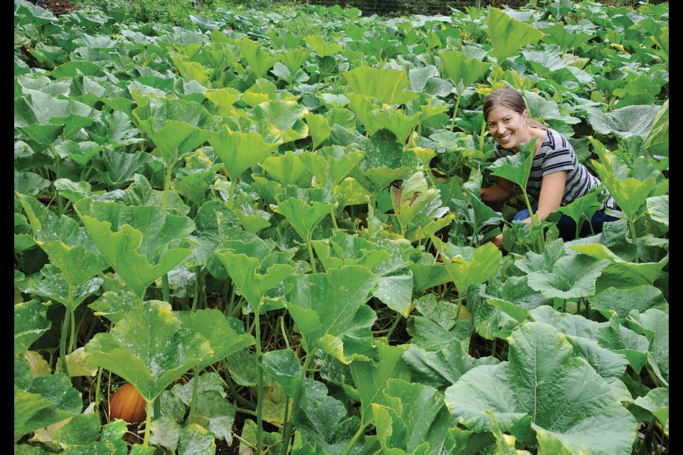 NEWS photo Cindy Goodman Heather Johnstone, checks in on the pumpkin patch at Loutet Farm in North Vancouver.