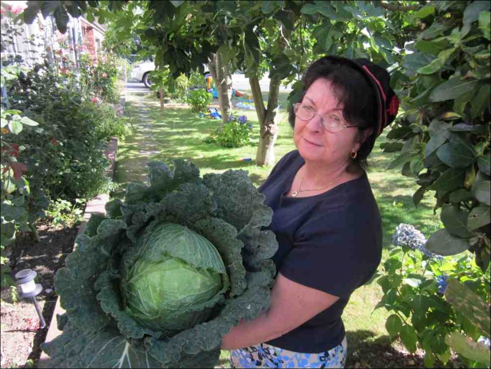 Angela's cabbage