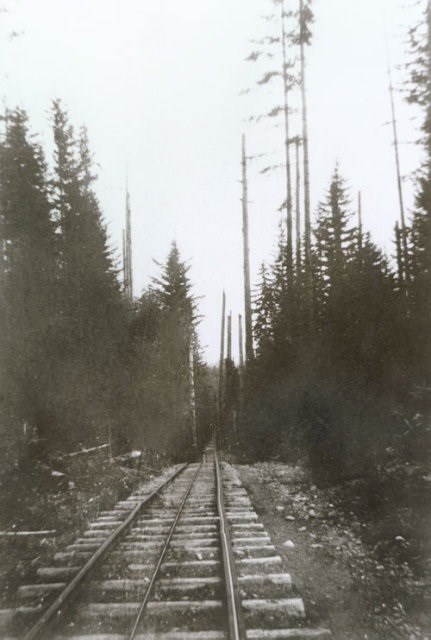 This cable railway was used in early 1900s to transport logs and shinglebolts downhill to mills.
